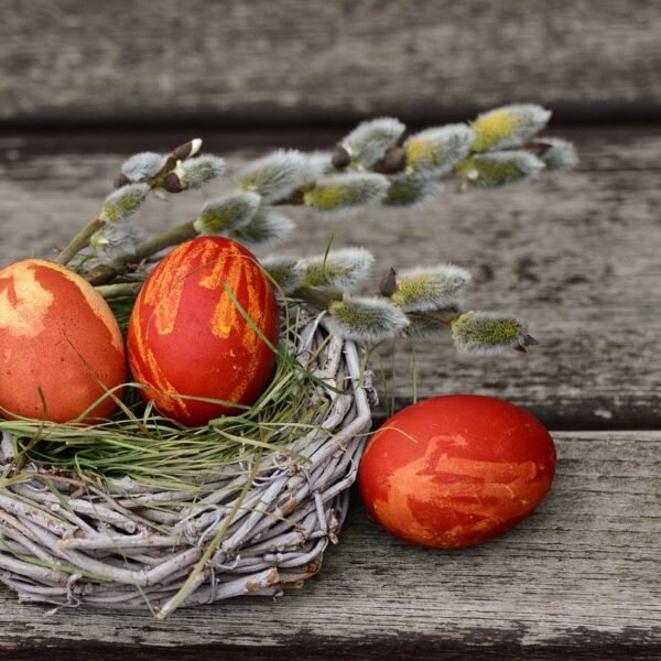 easter eggs, easter nest, easter decoration-2145667.jpg